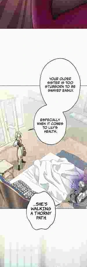 I Became the Youngest Sister-in-law of the Ruined Reverse Harem’s Male Leads Chapter 20 173 16