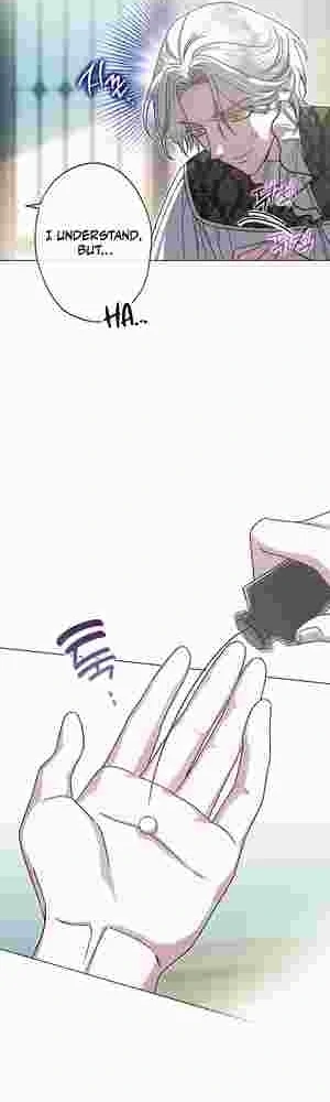 I Became the Youngest Sister-in-law of the Ruined Reverse Harem’s Male Leads Chapter 20 174 17