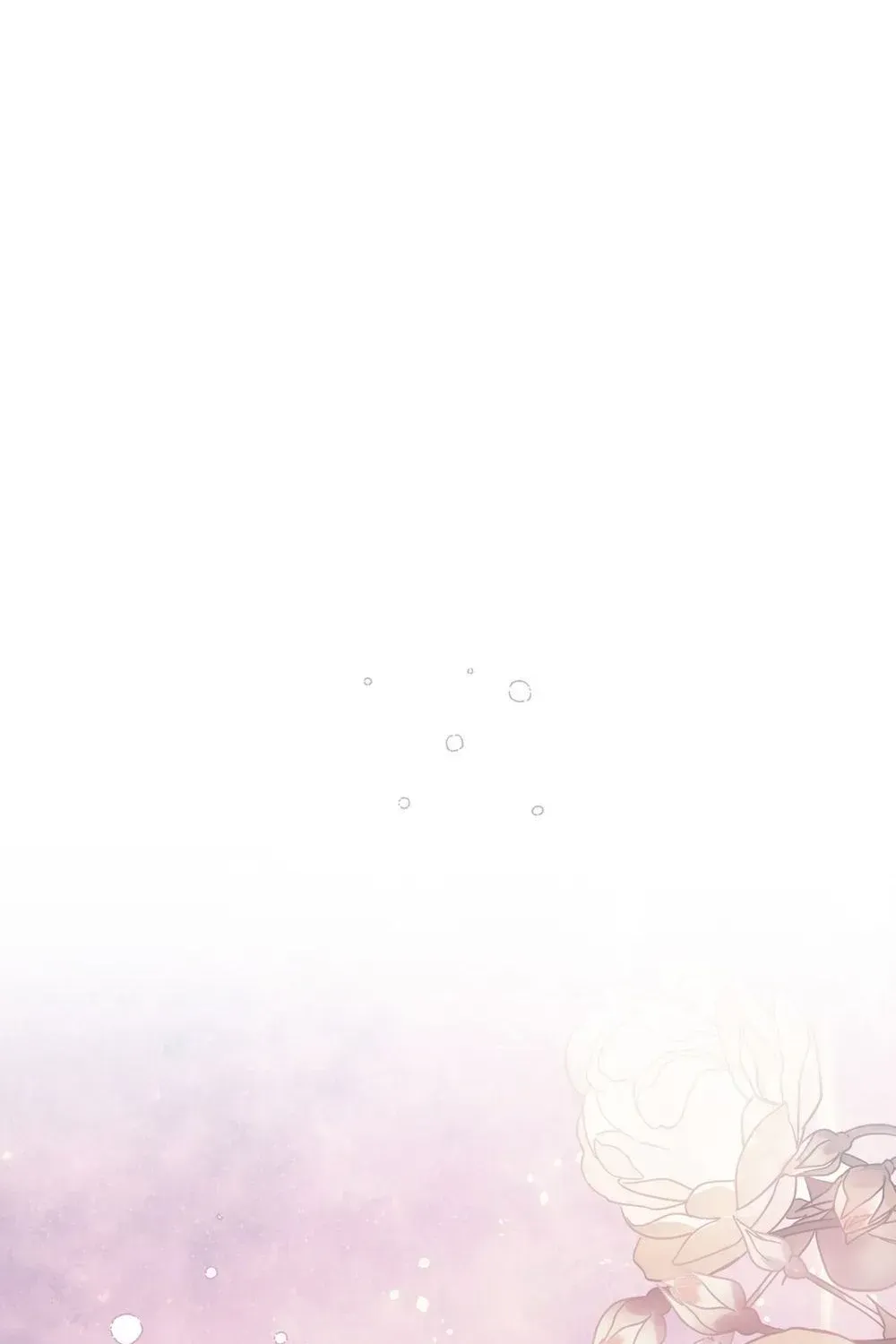 53535bded232