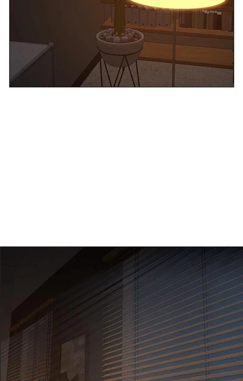 344d8eb67017