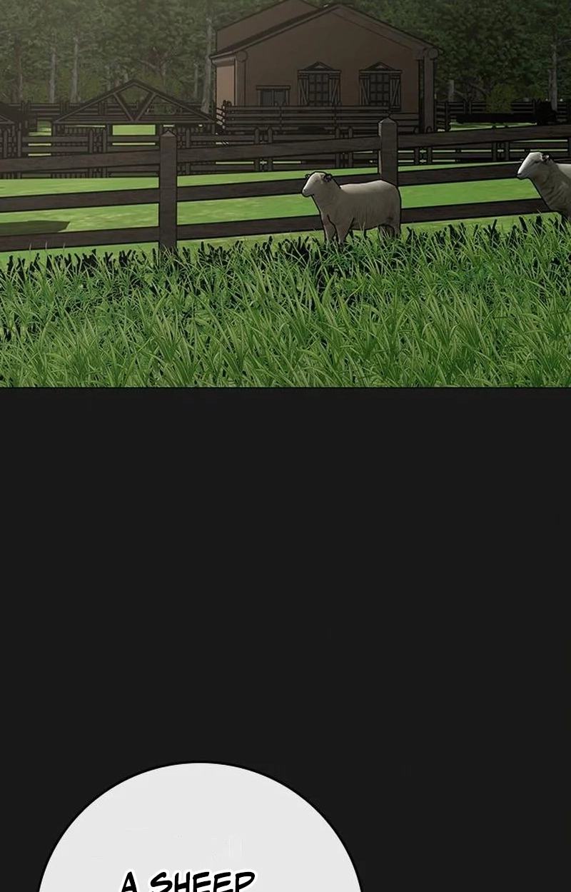 c3d2c3e78bd6