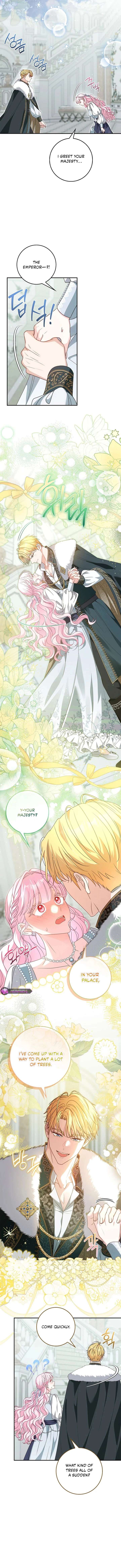 ch 75 8