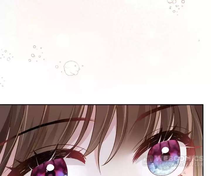 ch 41 11