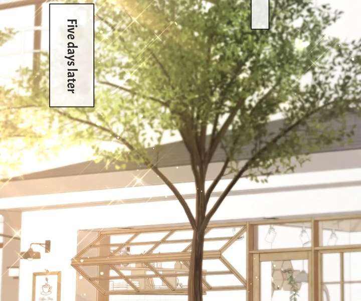 ch 50 88