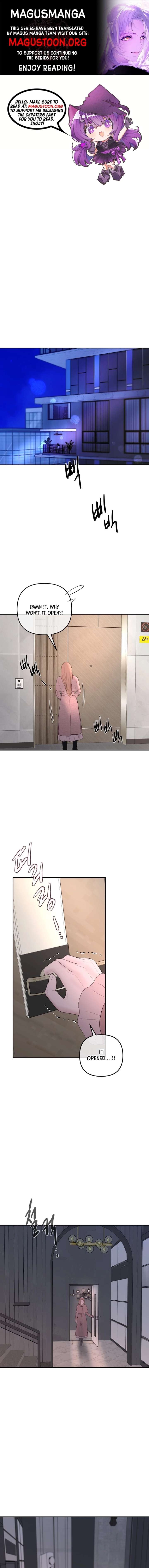 ch 61 1