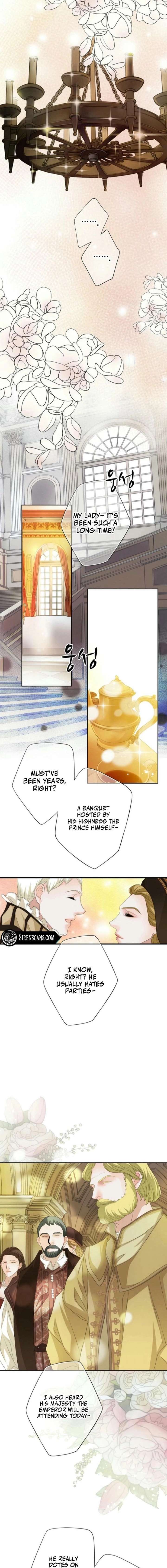 ch 20 11