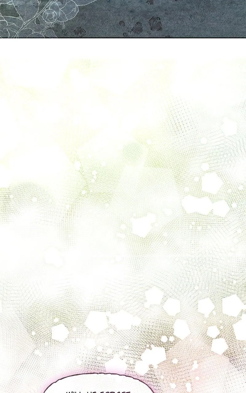 9fc4c2046b97