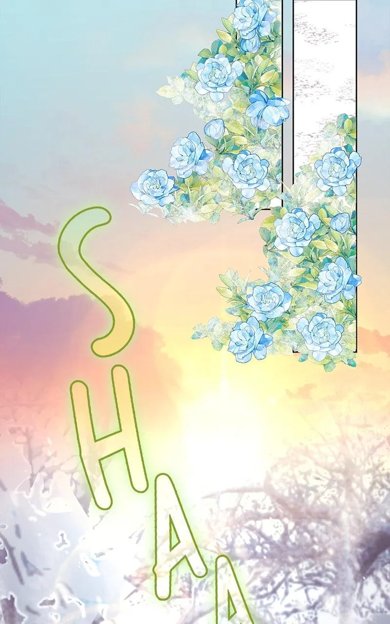 529fcfe2e7bd