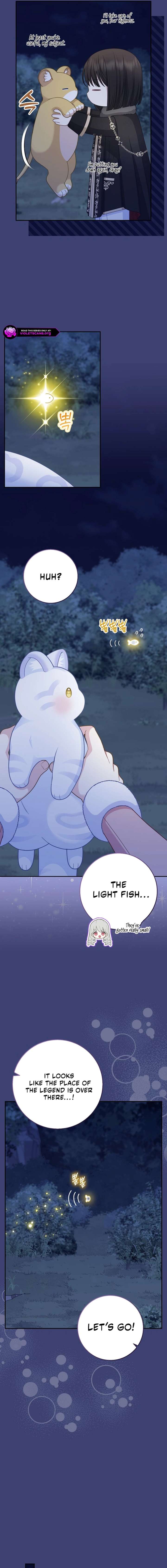 ch 61 11