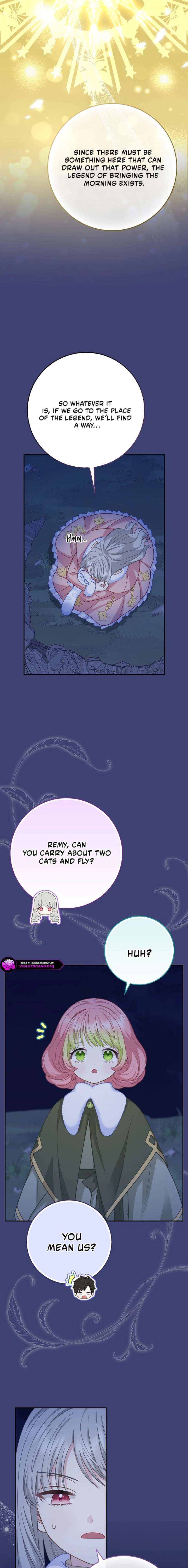 ch 61 3