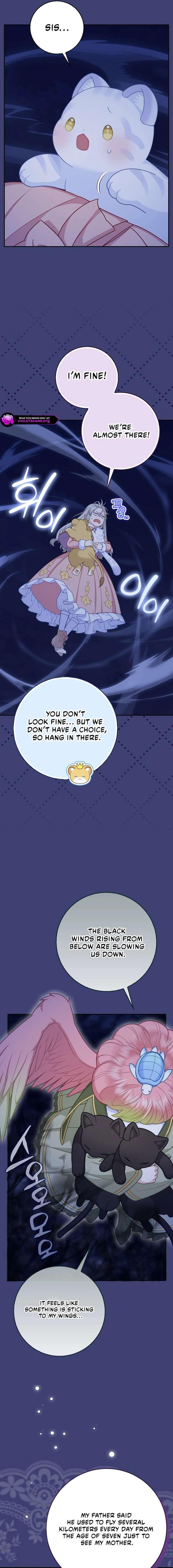 ch 61 7