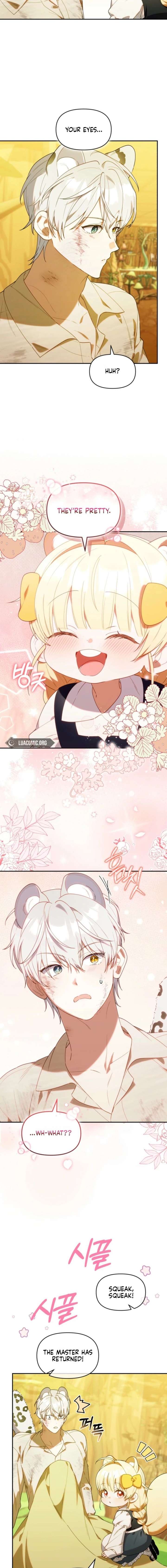 ch 65 5