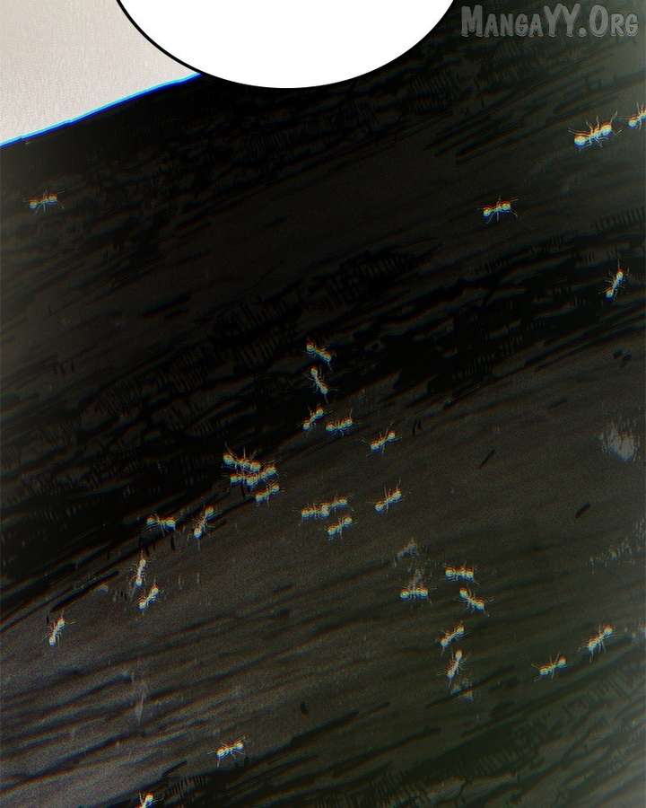 ch 50 79