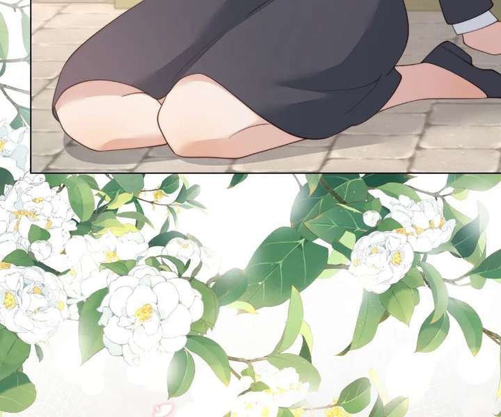 ch 78 86