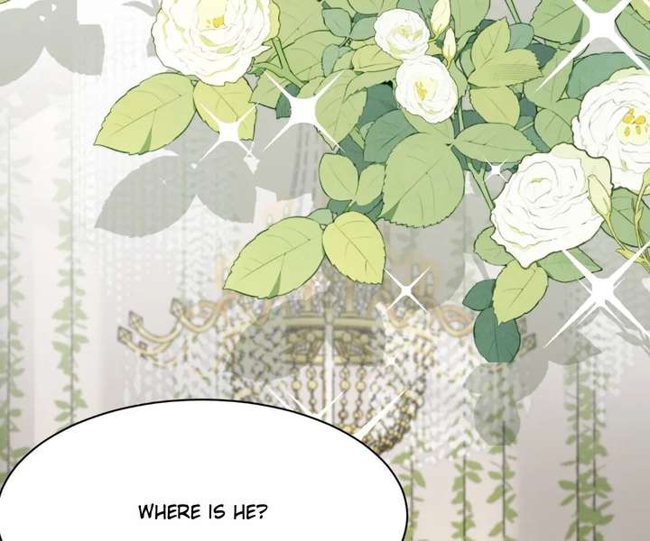 ch 84 37