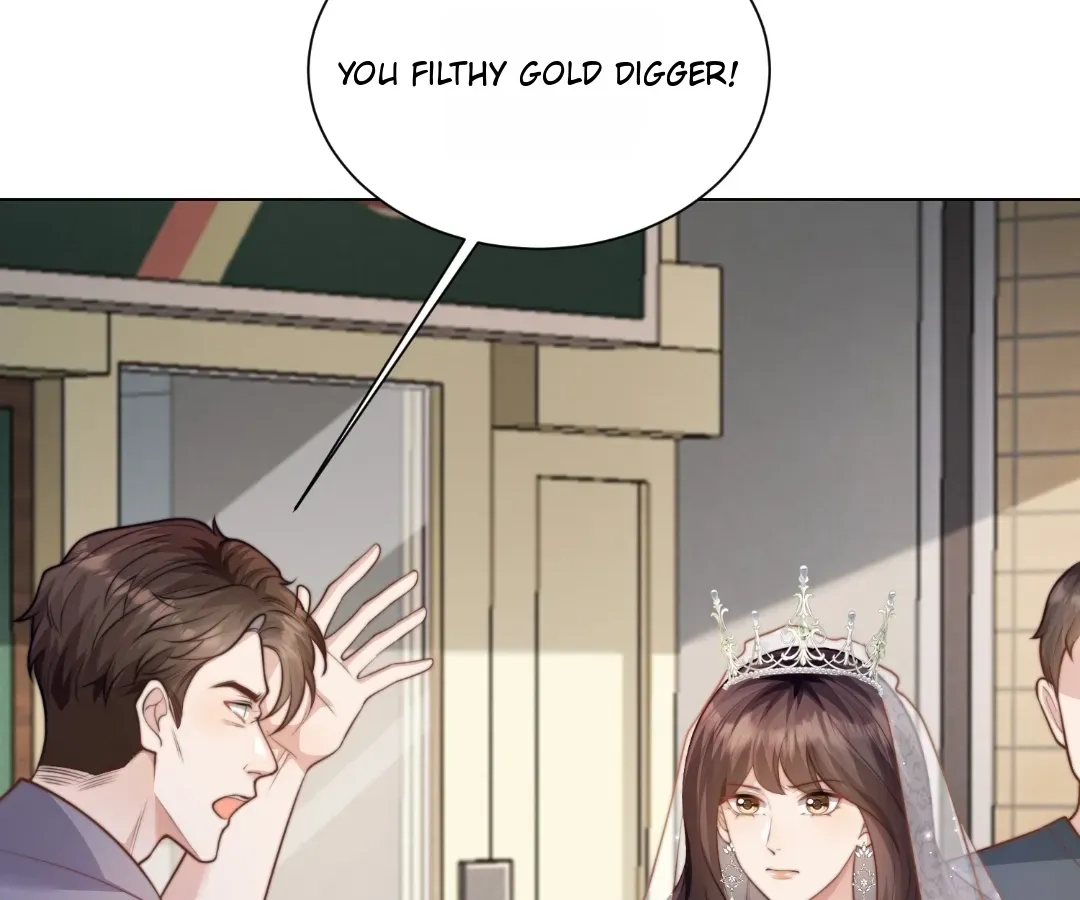 The Substitute Bride And The Overly affectionate Husband Chapter 85 462 1c9e9f02f04b