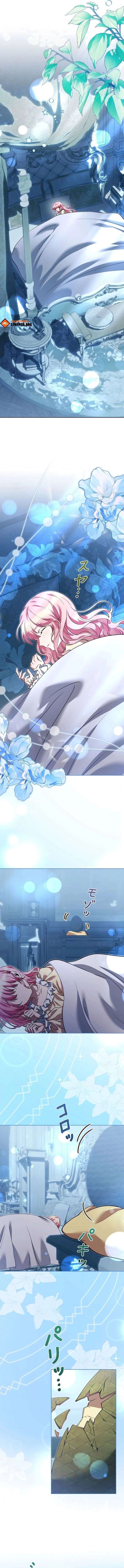 I Became a Miserable Extra in a Healing-Genre Novel Chapter 46 71 ch 46 17