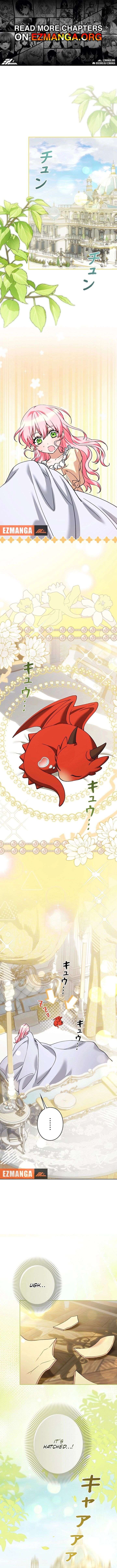 ch 47 1