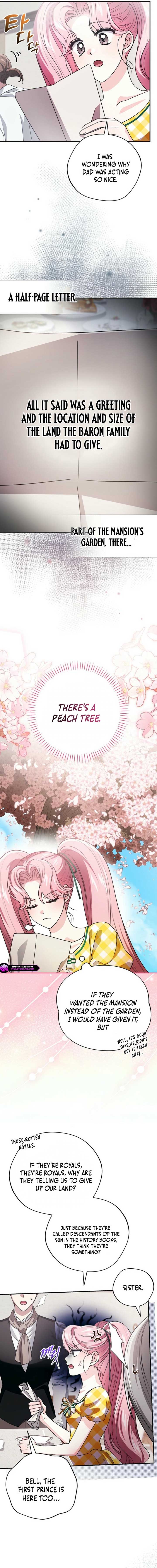 ch 26 21