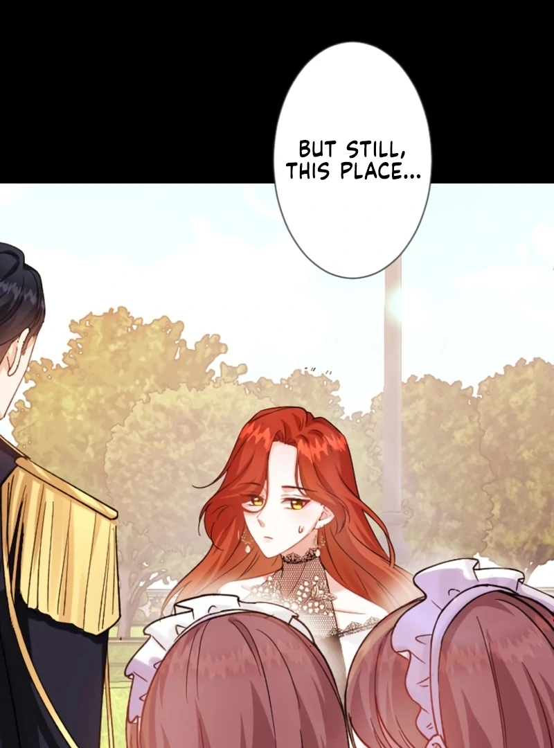 ch 17 16