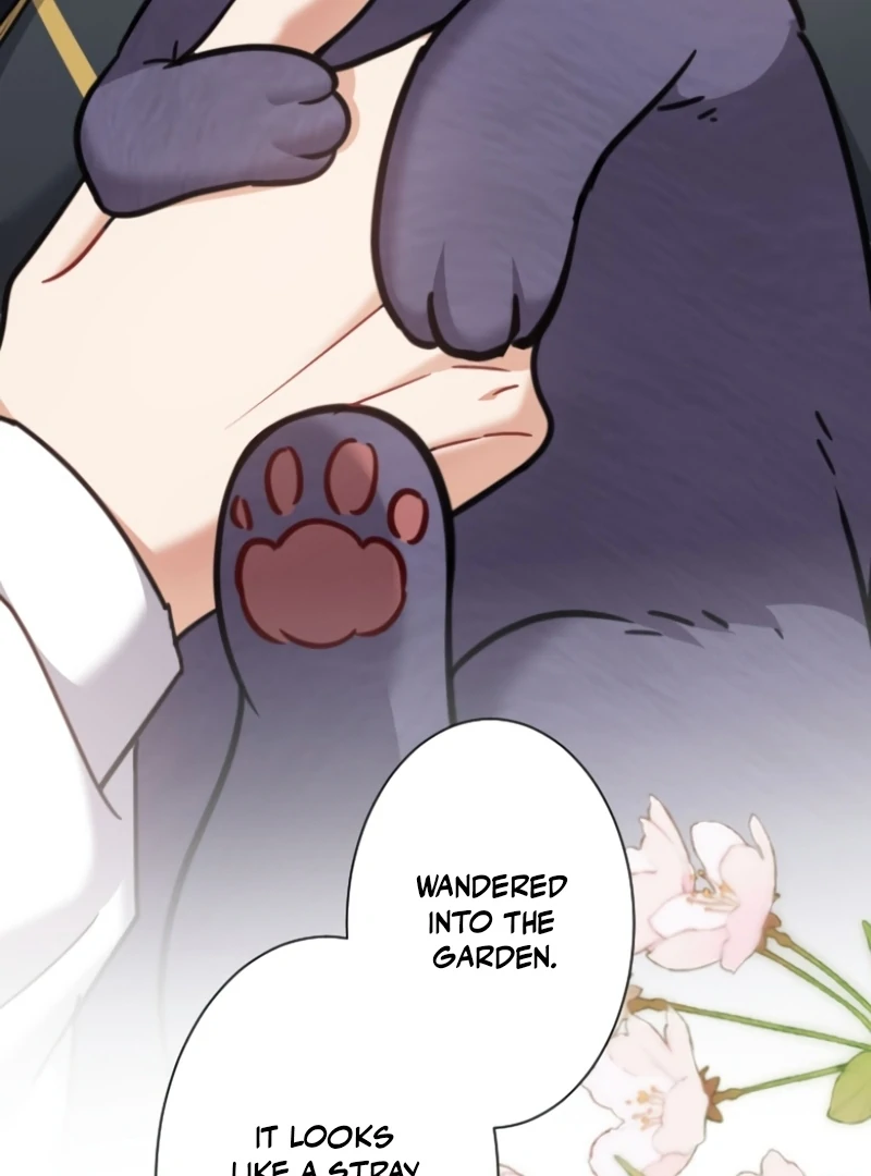 I Became A Tutor To Protect My Sister Chapter 6 530 ch 6 79