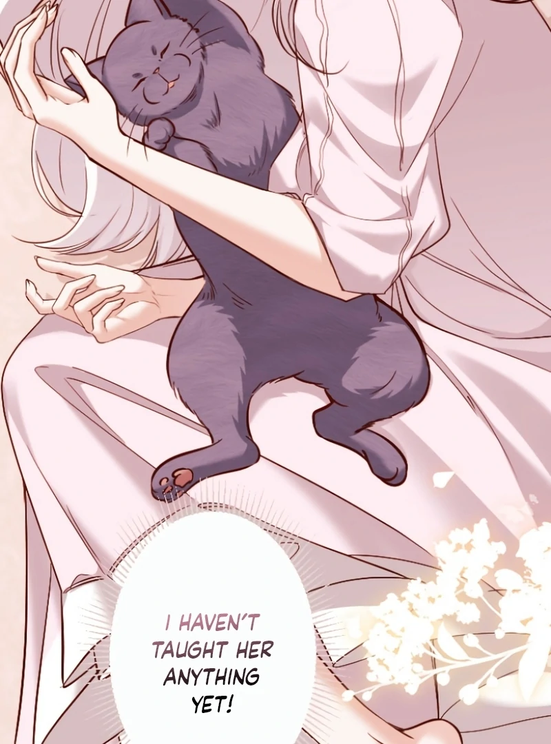 ch 7 116