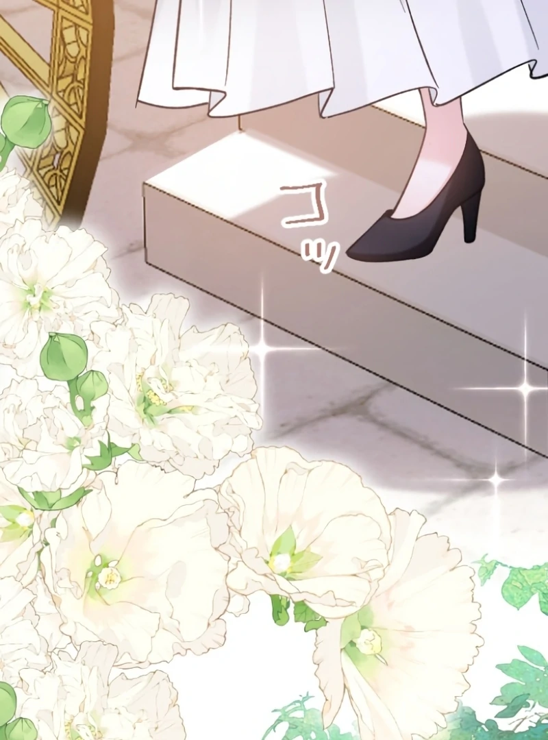 I Became A Tutor To Protect My Sister Chapter 8 564 ch 8 113