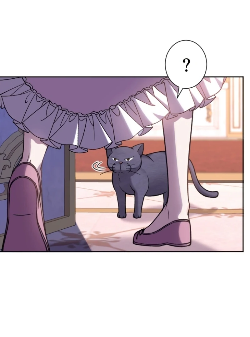 I Became A Tutor To Protect My Sister Chapter 8 472 ch 8 21