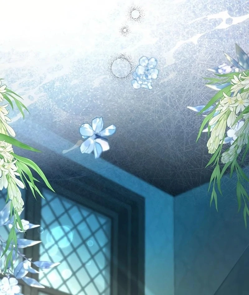 I will break ties with the harmful sister Chapter 16 493 ch 16 24