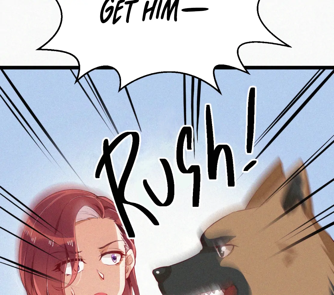 ch 9 15