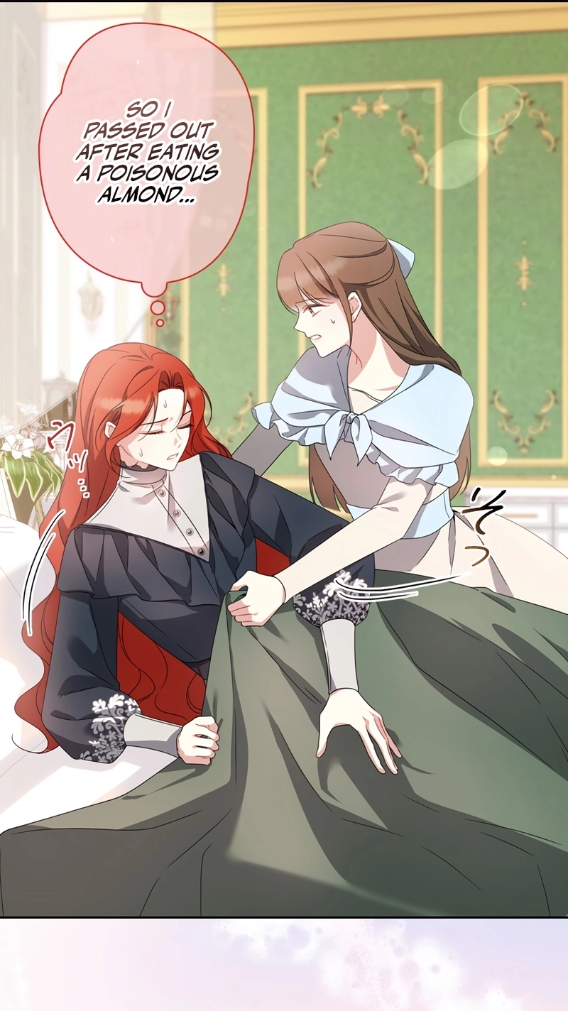 fe8a6b163f63
