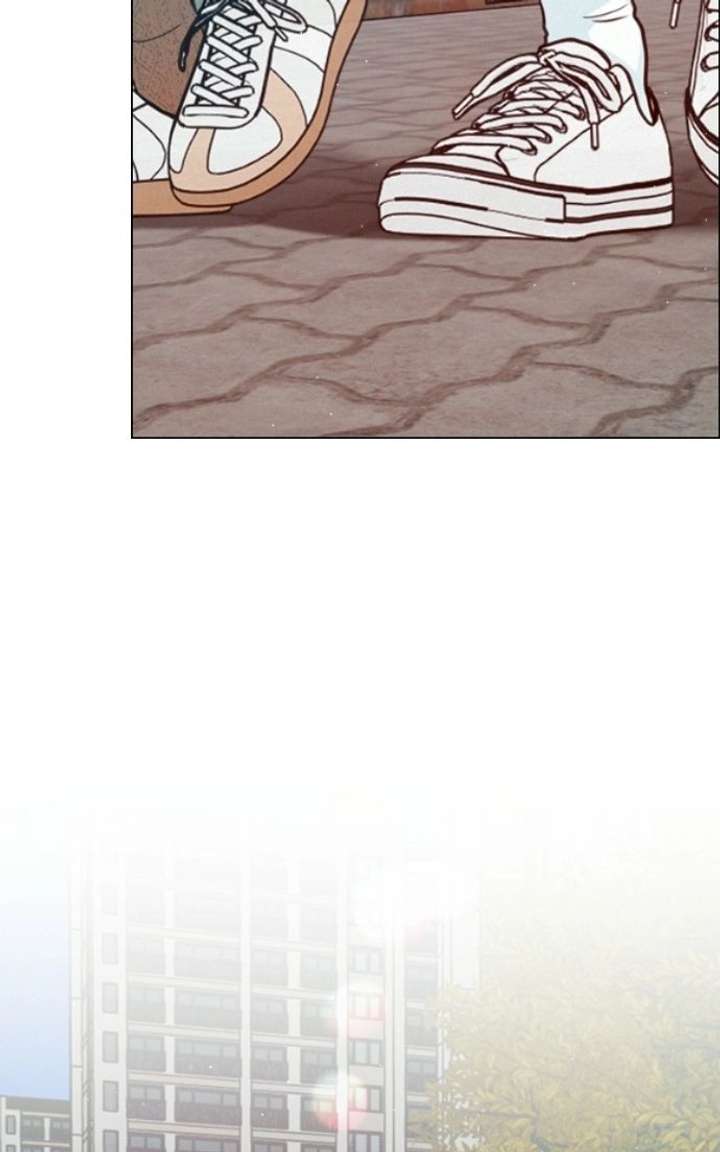 ch 42 42
