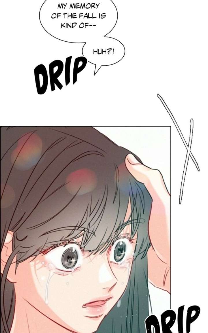 ch 52 54