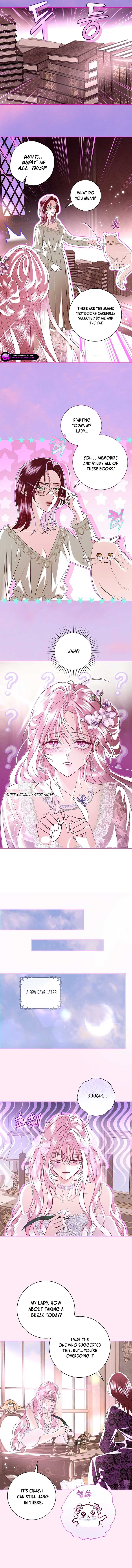 ch 36 2