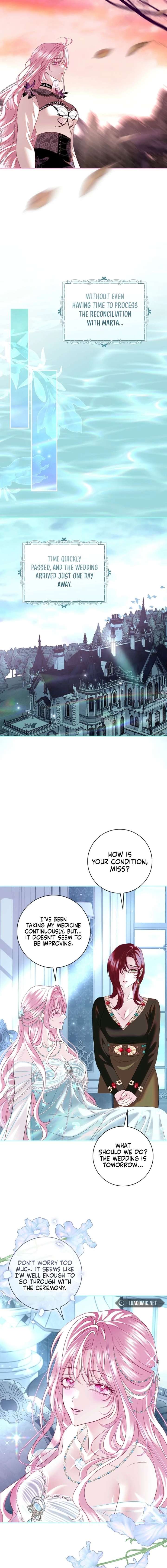 ch 55 3