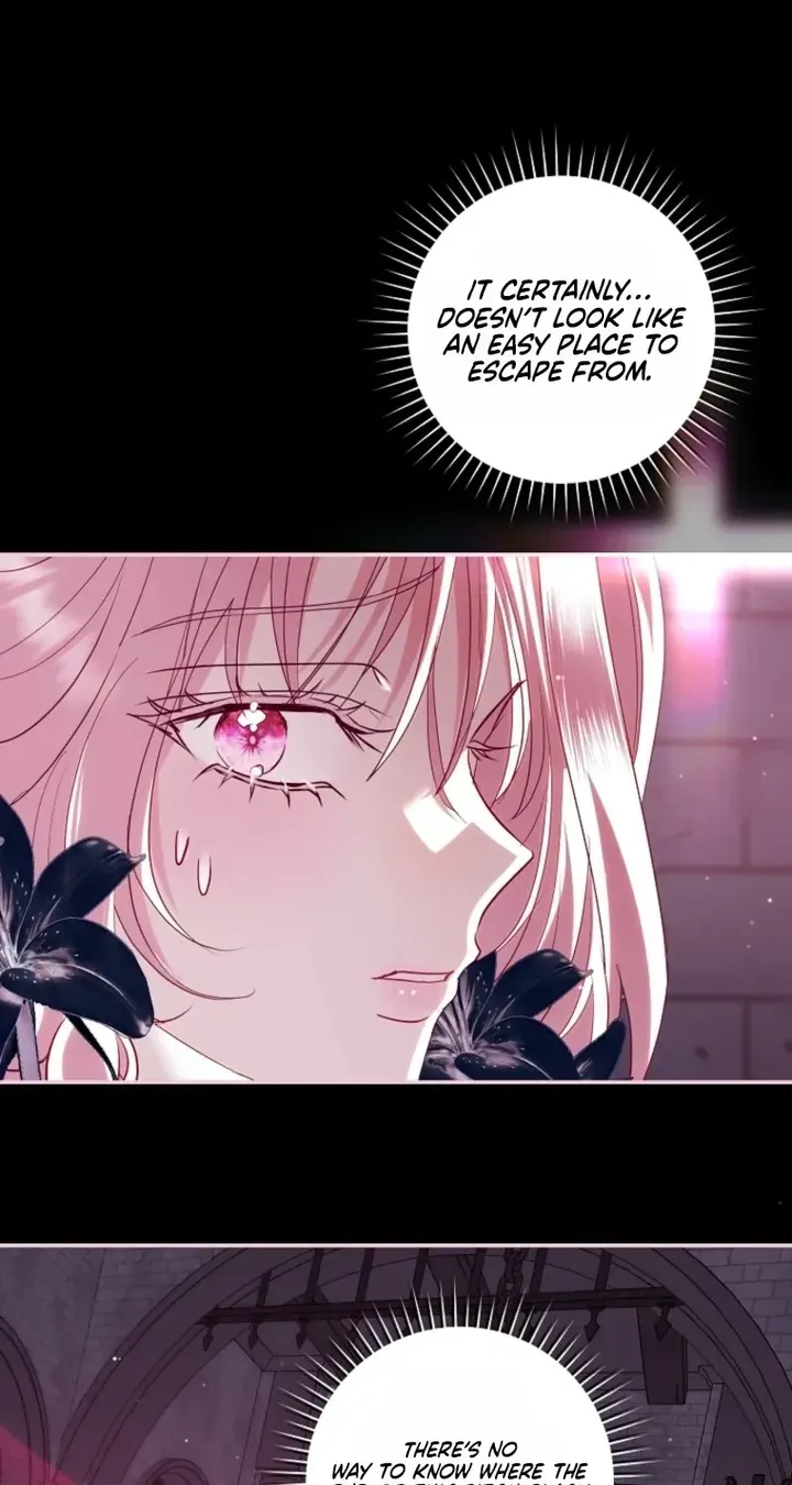 Villain, I’ll Do Everything Except Marriage for You! Chapter 73 306 67 result