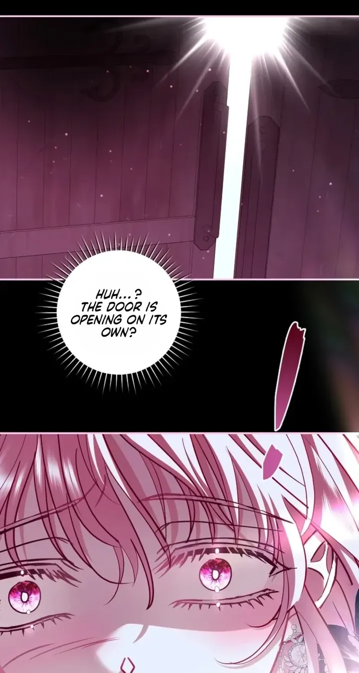 Villain, I’ll Do Everything Except Marriage for You! Chapter 74 343 71 result