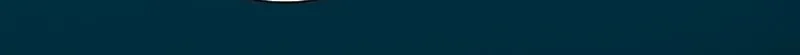 110 webp