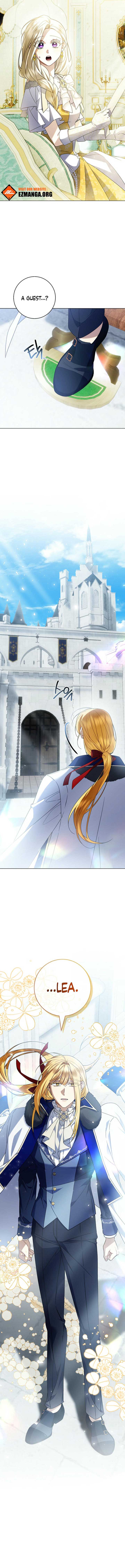 ch 24 17