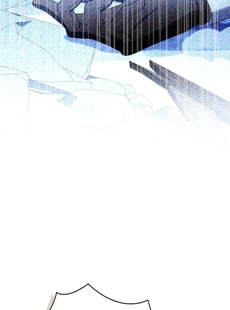 ch 41 28