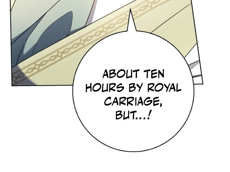 ch 41 33