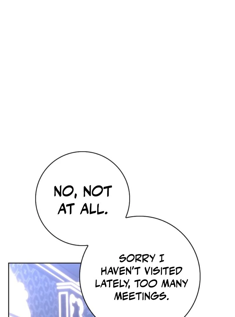 ch 41 81