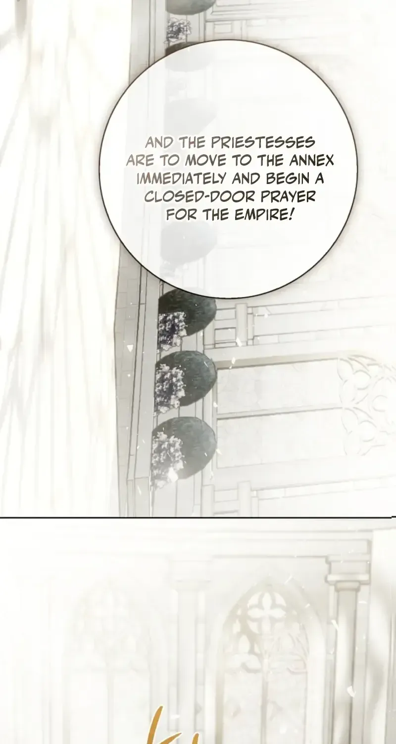 Sorry, I got distracted by your looks Chapter 75 379 cc85f124fa21