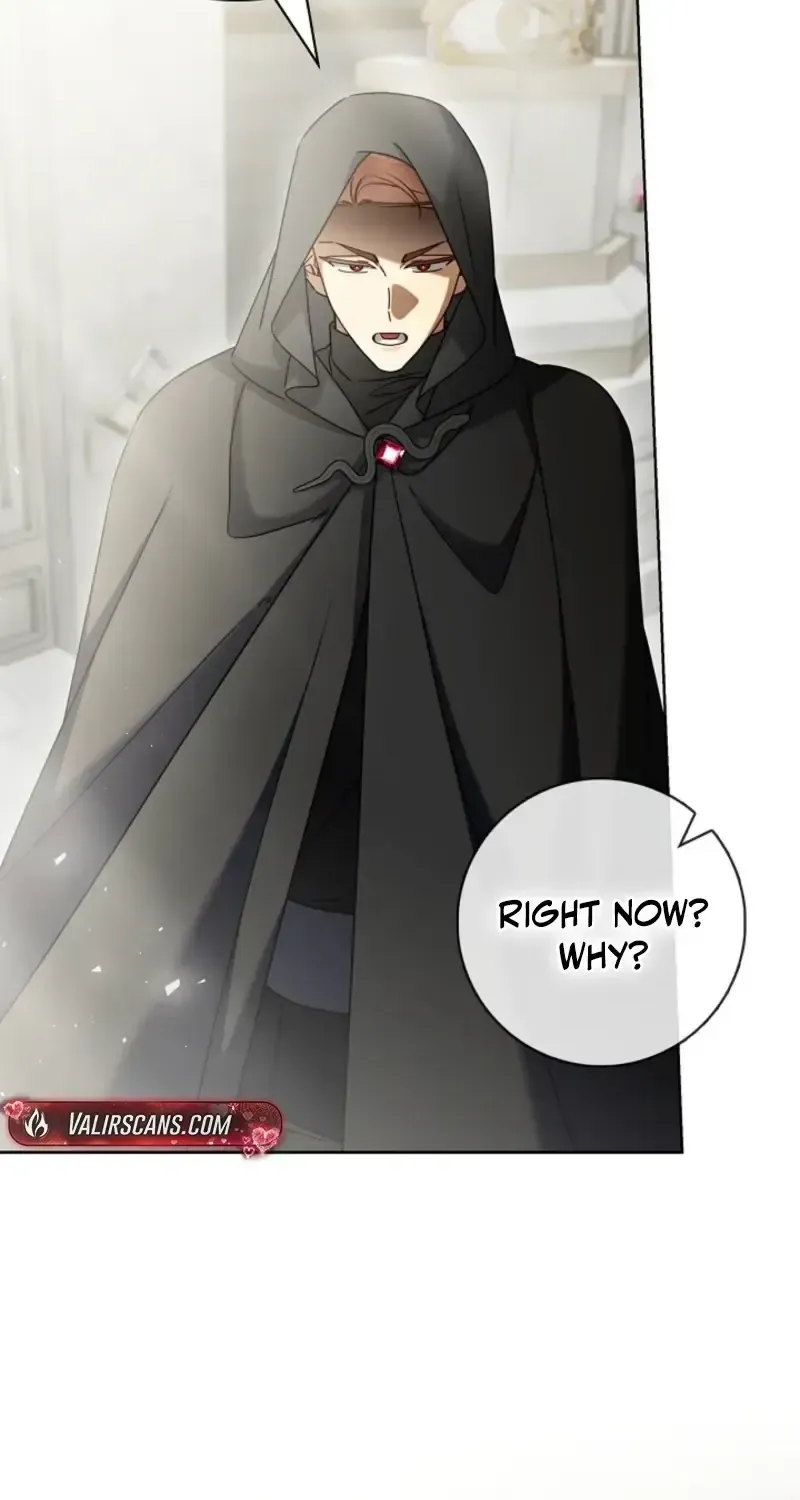 Sorry, I got distracted by your looks Chapter 75 397 d8156310fb01