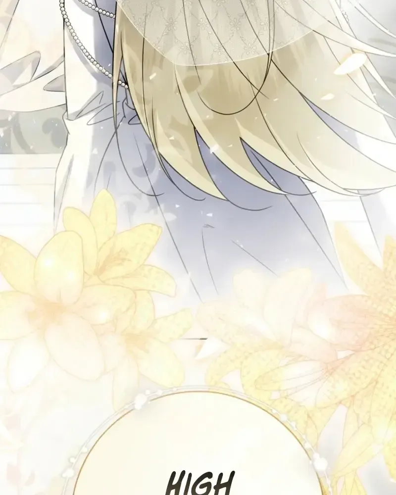Sorry, I got distracted by your looks Chapter 75 368 e13131a08da4