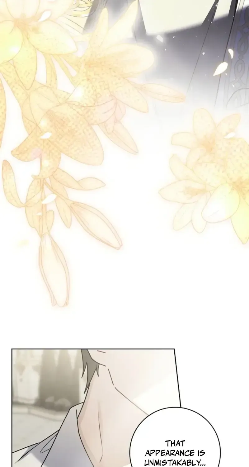 Sorry, I got distracted by your looks Chapter 76 455 f1800089420a