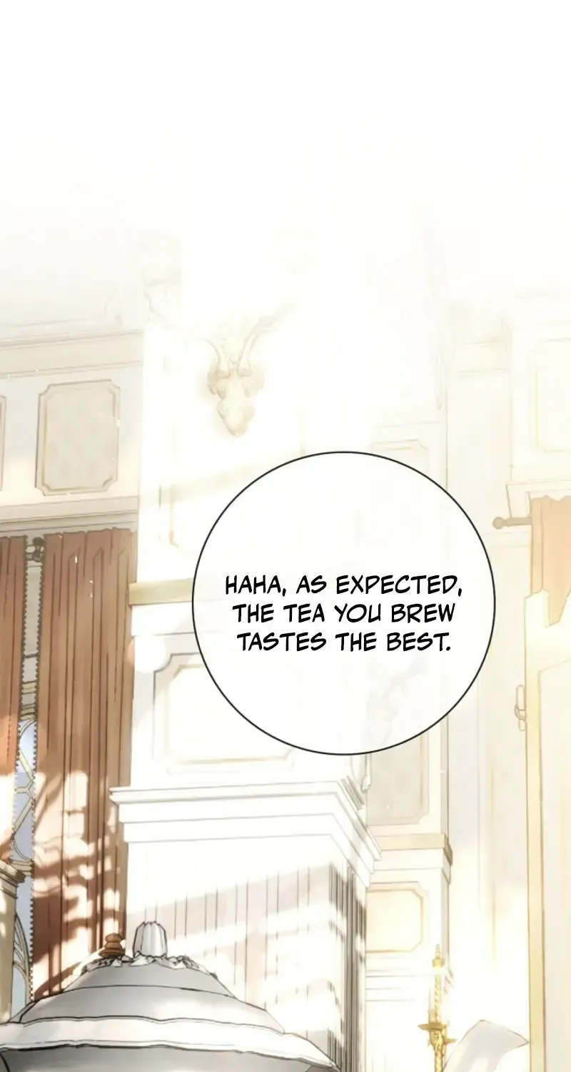 Sorry, I got distracted by your looks Chapter 77 494 881bb9da20ed