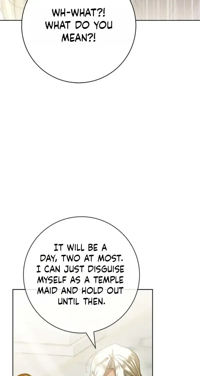Sorry, I got distracted by your looks Chapter 78 462 c0417c1b8895