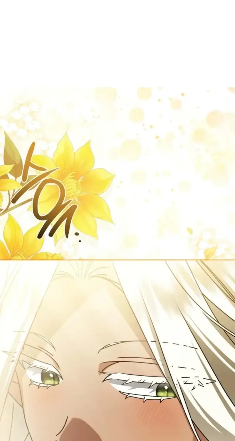 Sorry, I got distracted by your looks Chapter 78 464 df2679154eb0