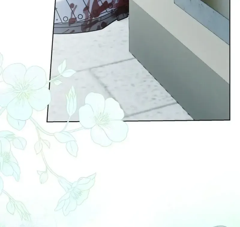 Sorry, I got distracted by your looks Chapter 80 459 94a4afeeda9e